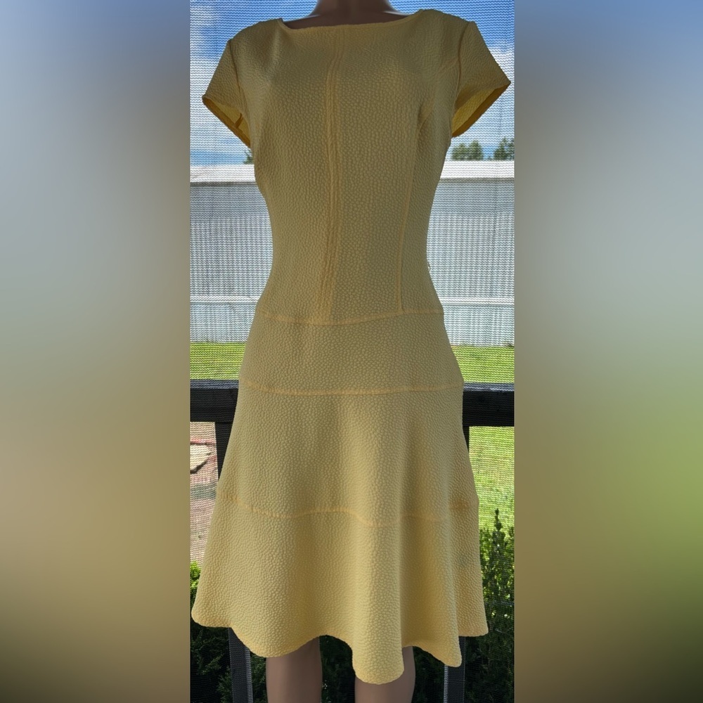 Sharagano Green Sleeveless A-Line Mini Dress